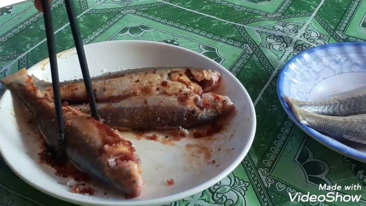 Video 5