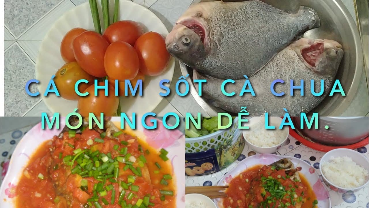 Video 5