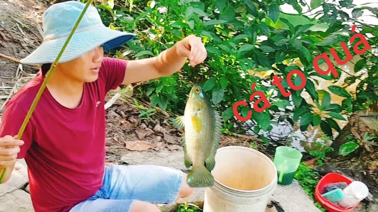 Video 7