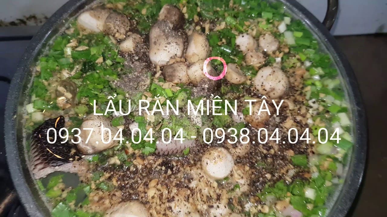 Video 4