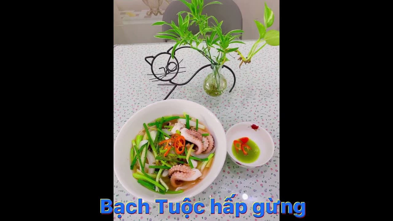 Video 5