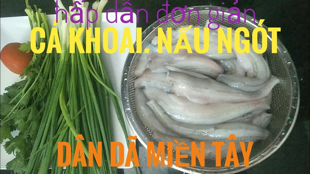 Video 2