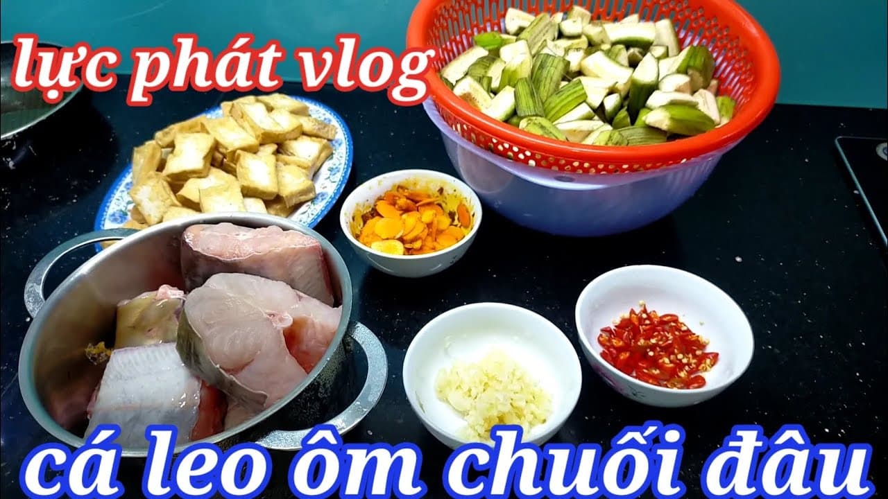 Video 2