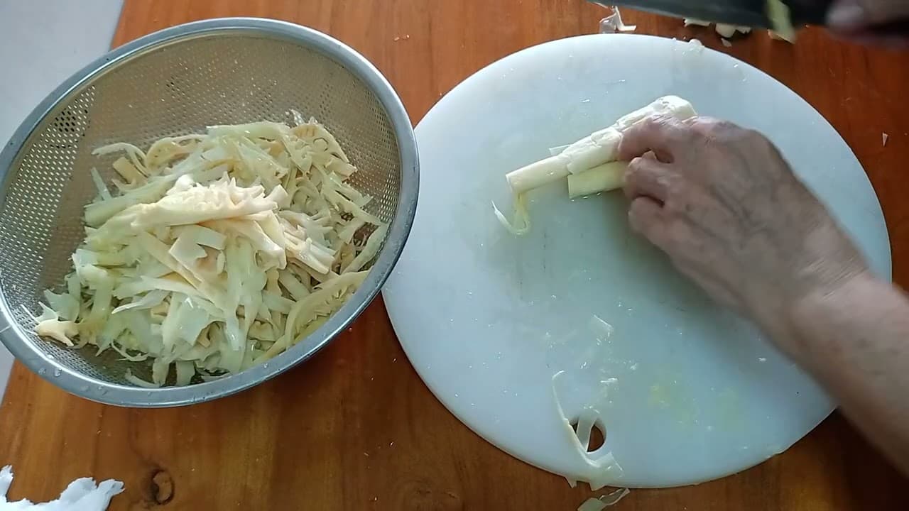 Video 8
