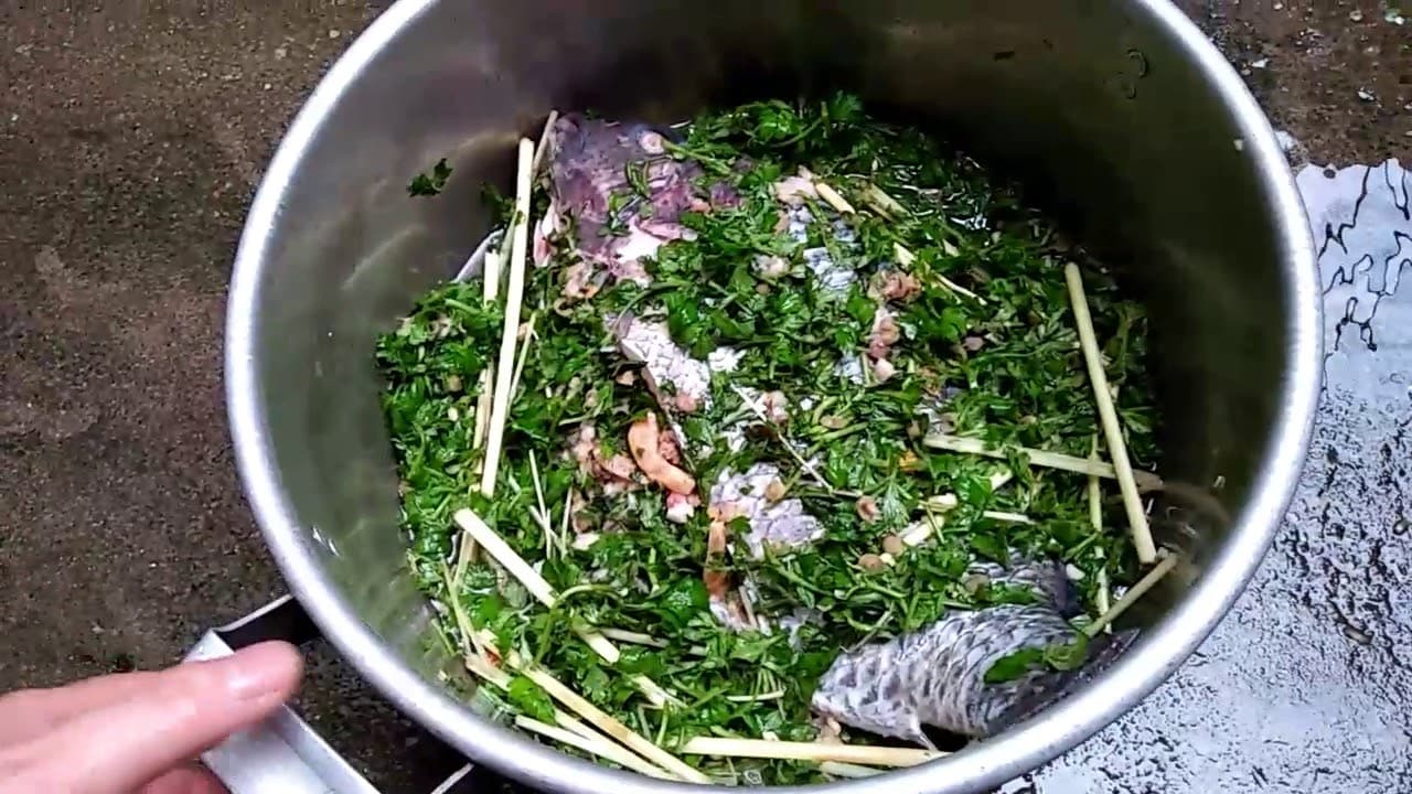 Video 5