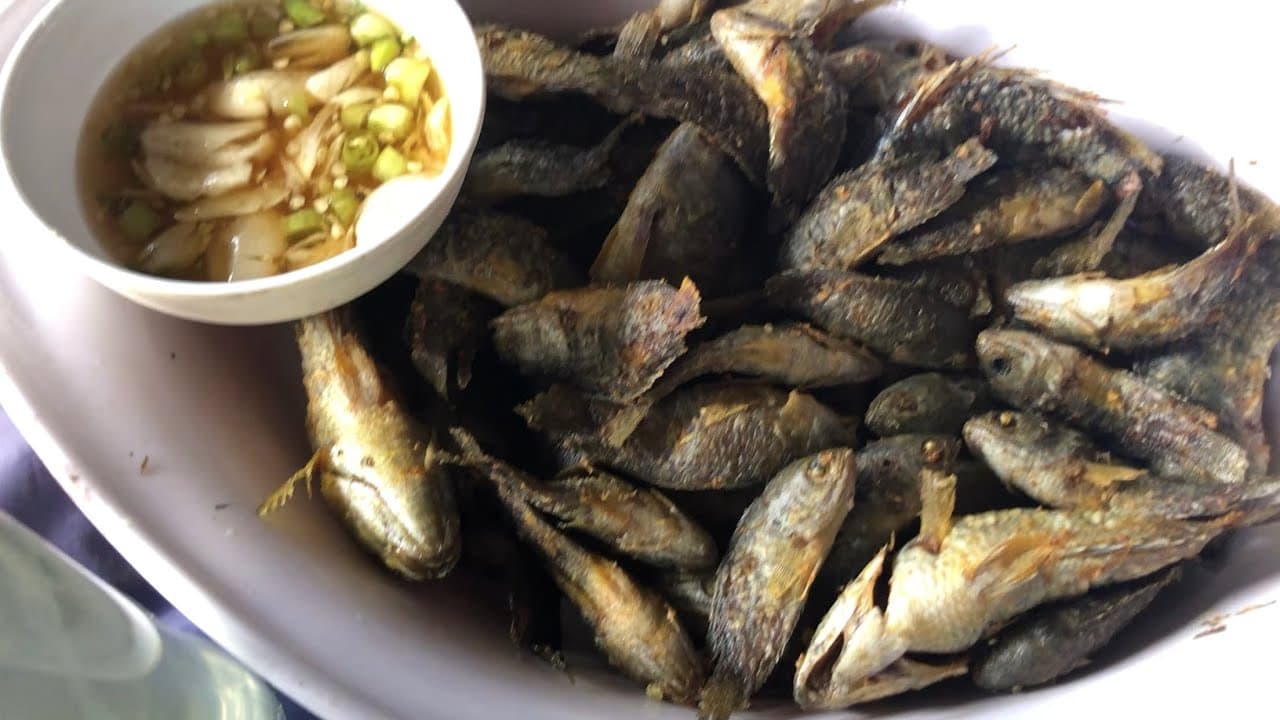 Video 6