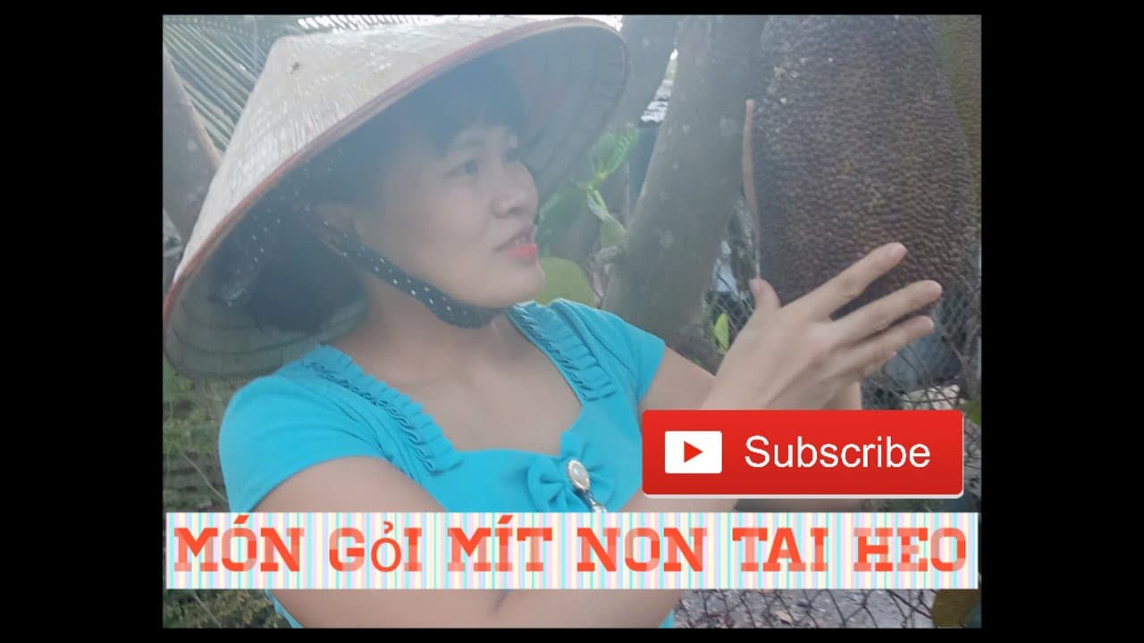 Video 2
