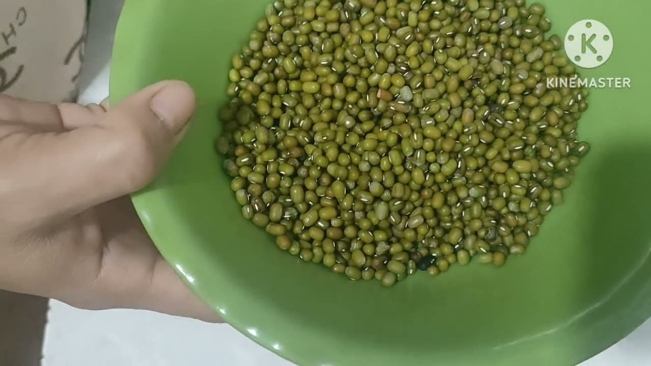 Video 2