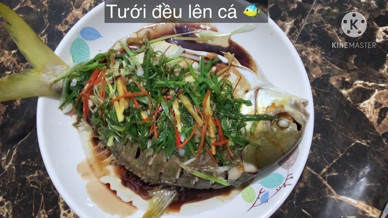 Video 5