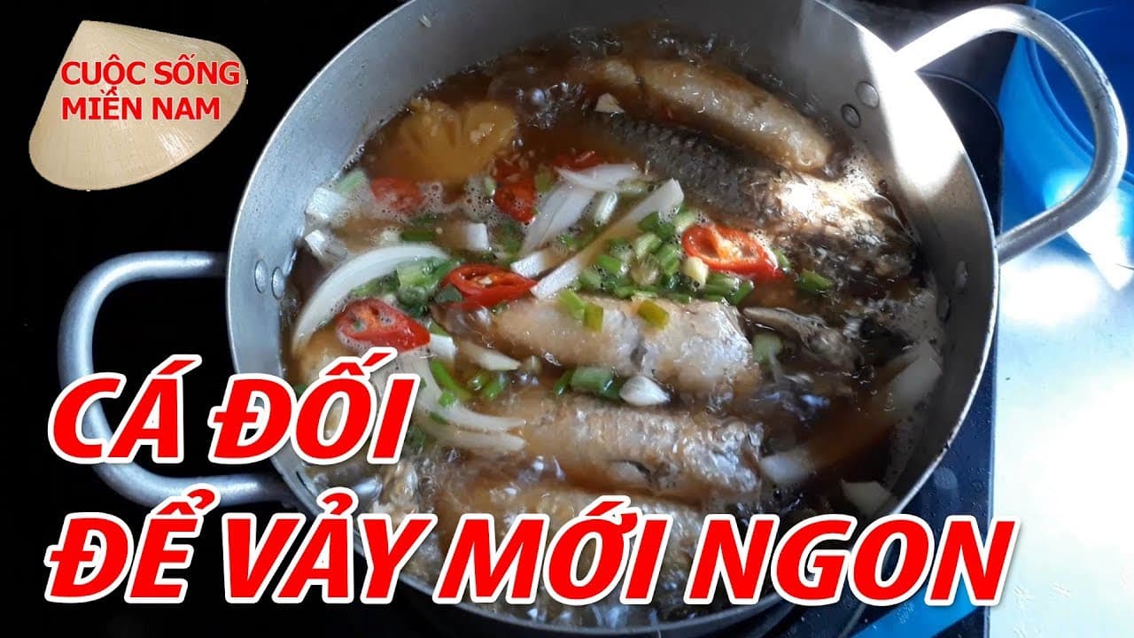 Video 6