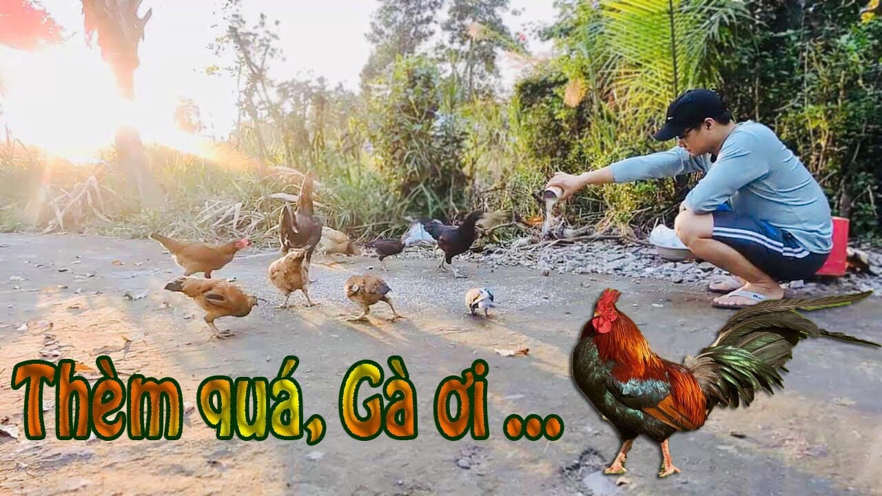 Video 3