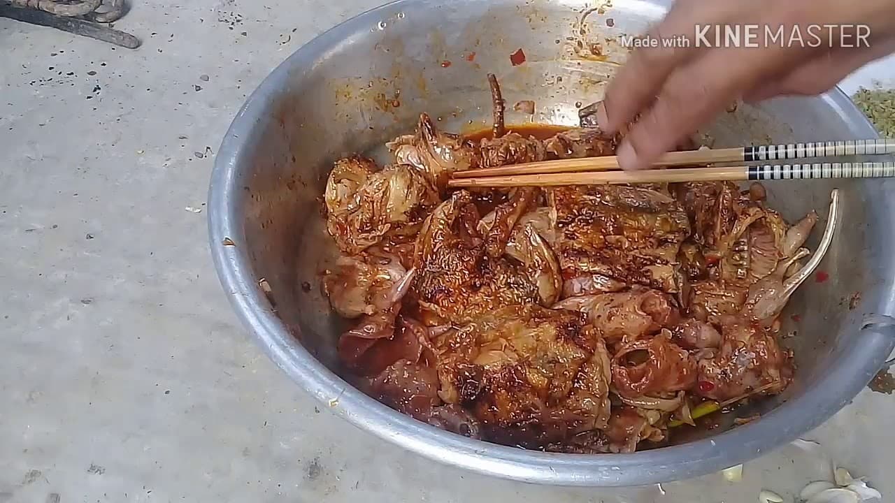 Video 6