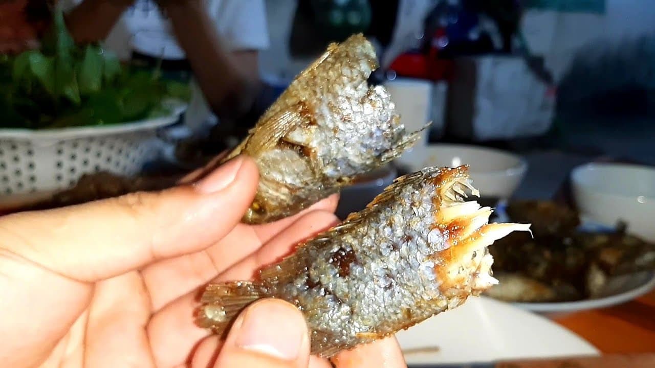 Video 4
