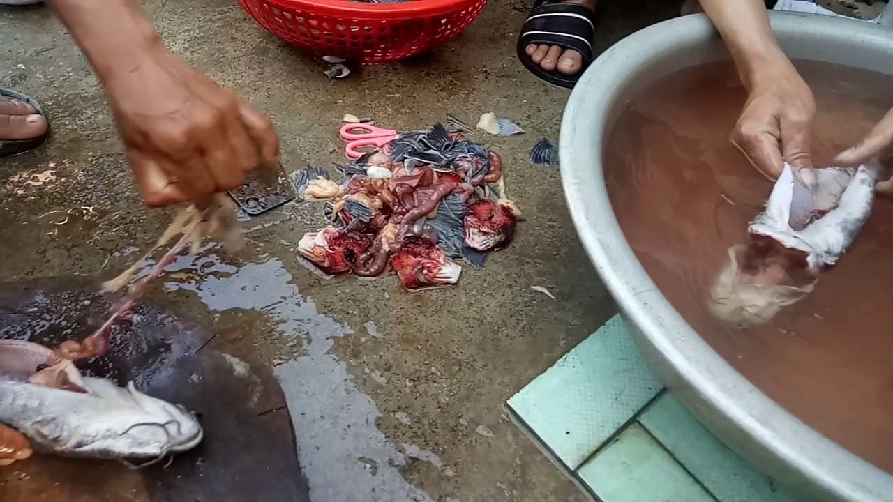 Video 4