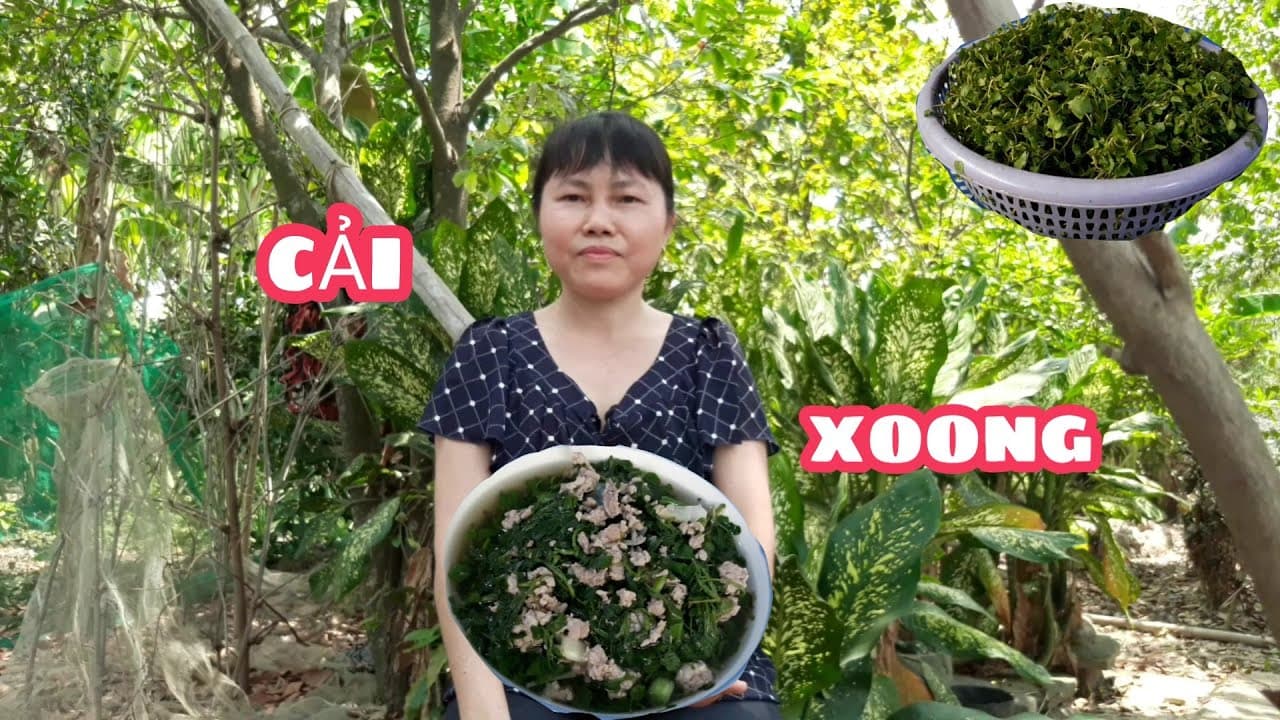 Video 7